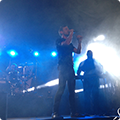 Live at Amsterdam Woods Festival