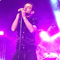 Live at Amsterdam Woods Festival